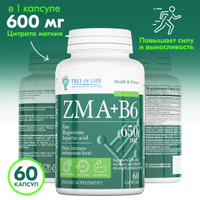 ЗМА, Витамины и минералы Zn+Mg+B6 Tree of Life 60 капсул