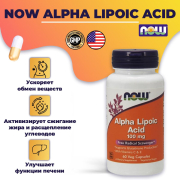 NOW Альфа-Липоевая Кислота Alpha Lipoic Acid 100 мг 60 капсул 