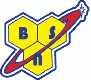 BSN