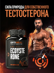 Фото OptiMeal Экдистерон (60 капсул
