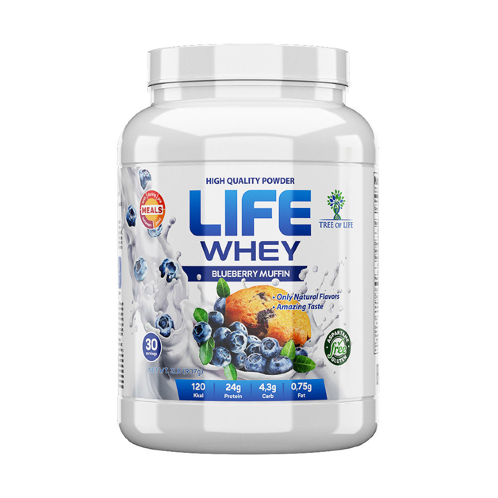 Протеин Life Whey  908 гр вкус черничный пудинг 